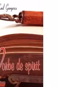 Vorbe de spirit (Mircea Emil Georgescu)