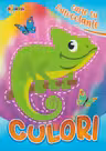 Carte cu autocolante : Culori