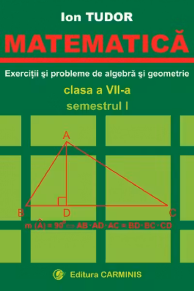 Matematică. Exerciții și probleme de algebră și geometrie - Clasa 7 - Semestrul 1