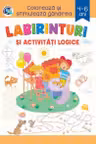 Labirinturi si activitati logice