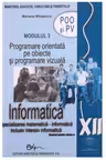 Manual informatica, clasa a 12-a, modulul 3