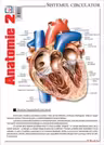 Pliant Anatomie 2