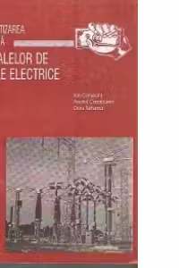 Informatizarea sistemica a filialelor de retele electrice