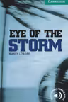 Eye of the Storm Level 3