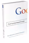 Cum functioneaza Google