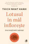Lotusul în mâl înflorește