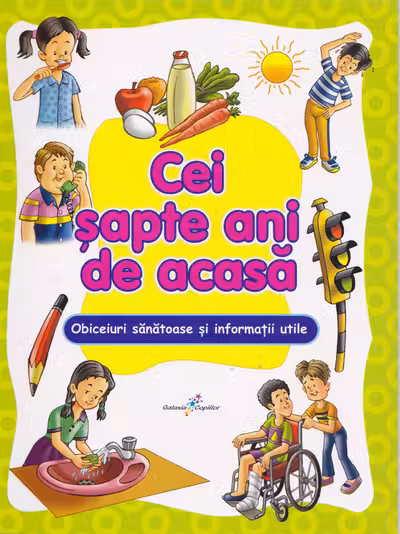 Cei sapte ani de acasa