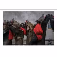 Postcard Ioana Moldovan 24