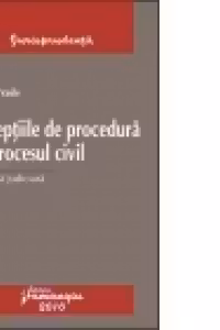 Exceptiile de procedura in procesul civil - Practica judiciara