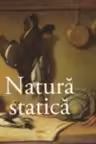 Natura statica