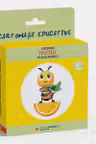 Descopera FRUCTELE cu Nuta Albinuta (12 cartonase educative)