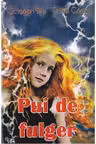 Pui de fulger