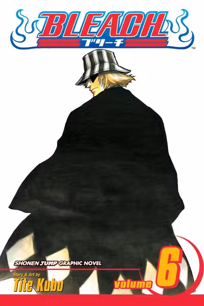 Bleach - Volume 6