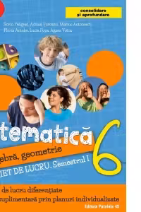 Matematica. Algebra, geometrie. Caiet de lucru. Clasa a 6-a. Semestrul I. Consolidare si aprofundare (2017-2018)