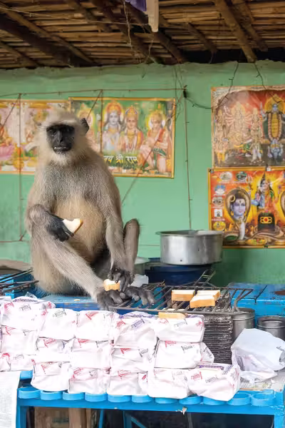 India Local