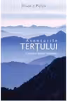 Aventurile tertului (Editia a II-a revazuta si adaugita)