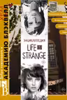 Энциклопедия Life is Strange