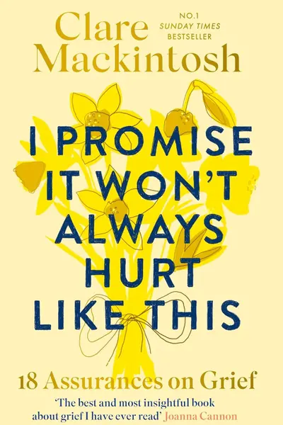 I Promise It Won't Always Hurt Like This