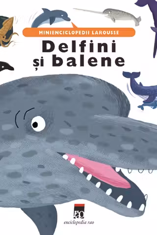 Delfini și balene