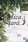 Mica Tara