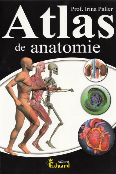 Atlas de anatomie