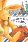 Scrisori de la Felix