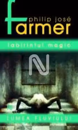 Labirintul magic (vol. 4)