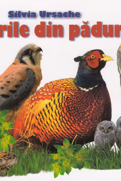 Cunosc lumea. Pasarile din paduri