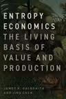 Entropy Economics