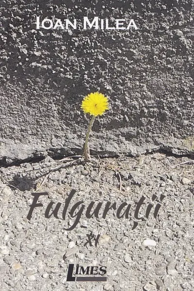 Fulgurații Vol.11