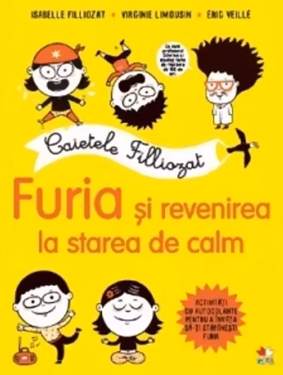 CAIETELE FILLIOZAT. FURIA SI REVENIREA LA STAREA DE CALM