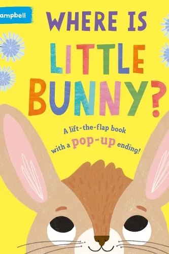 Where is Little Bunny?