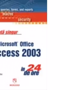 Invata singur Microsoft Office Access 2003 in 24 de ore