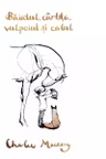 Baiatul cartita vulpoiul si calul