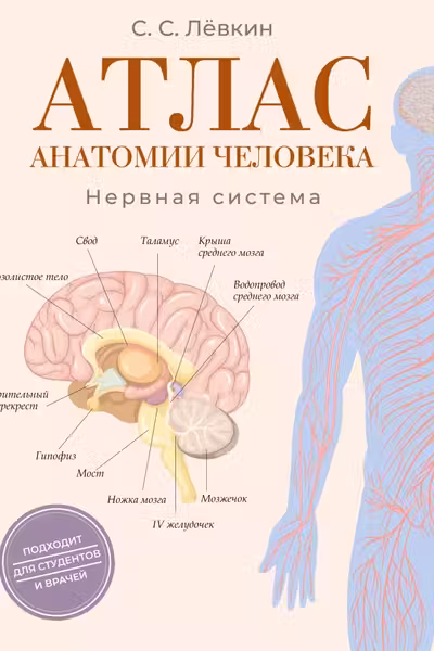 Атлас анатомии человека. Нервная система