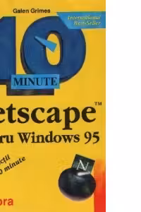 Netscape pentru Windows 95...in lectii de 10 minute