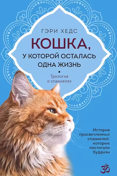 Кошка у которой осталась одна жизнь