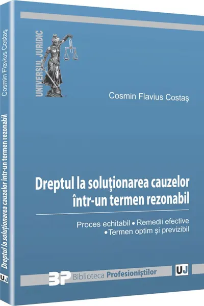 Dreptul La Soluționarea Cauzelor Într-Un Termen Rezonabil