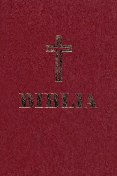 Biblia simplă grena Ed.2025