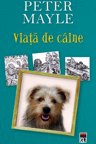 Viața de câine