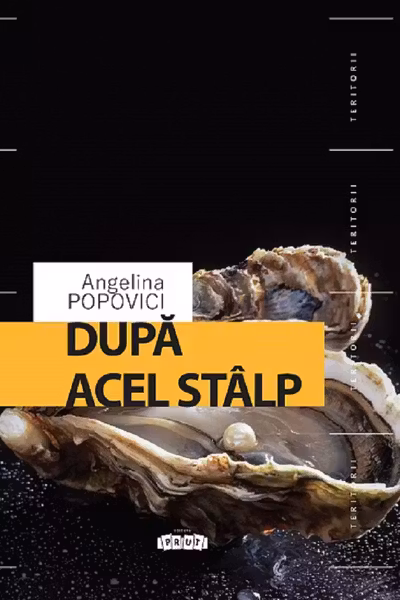 Dupa acel stalp