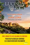 CELE SAPTE SURORI. SORA LUNA. Povestea lui Tiggy. Lucinda Riley