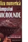 Analiza numerica a campului de microunde