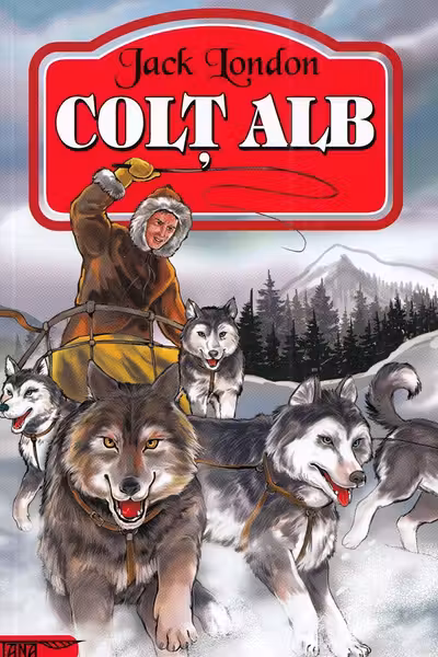 Colt Alb