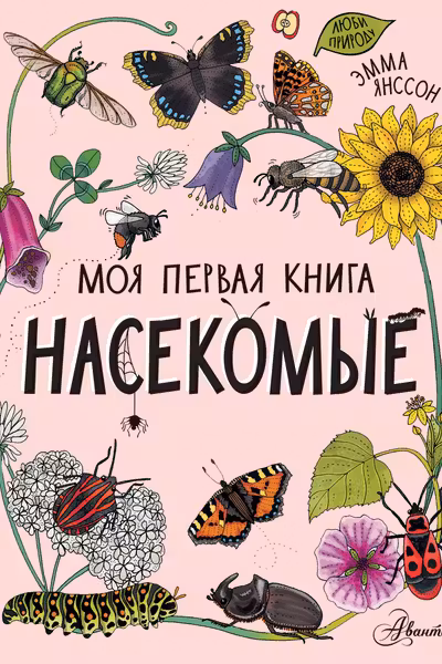 Насекомые