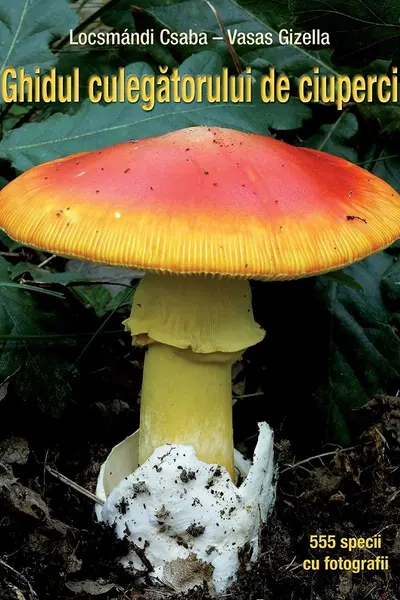 Ghidul culegatorului de ciuperci