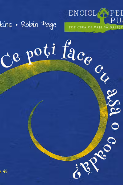 Ce poti face cu asa o coada ?