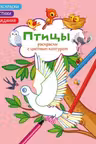 Раскраски с цветным контуром. Птицы. Стихи, задания