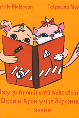 Oxy si Aron invata indicatoarele / Окси и Арон учат дорожные знаки