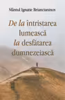 De la intristarea lumeasca la desfatarea dumnezeiasca